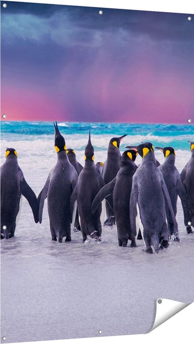 Gards Tuinposter Groep Pingu�ns bij het Water - Kudde - 100x150 cm - Tuindoek - Tuindecoratie - Wanddecoratie buiten - Tuinschilderij