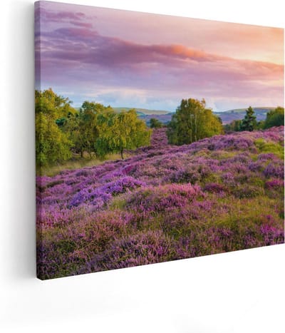 Artaza Canvas Schilderij Heide - 50x40 cm - Wanddecoratie Landschap - Muurdecoratie Bos - Kamer Accessoires Natuur
