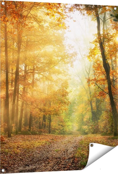 Gards Tuinposter Herfstbos met Zonneschijn - 80x100 cm - Tuindoek - Tuindecoratie - Wanddecoratie buiten - Tuinschilderij