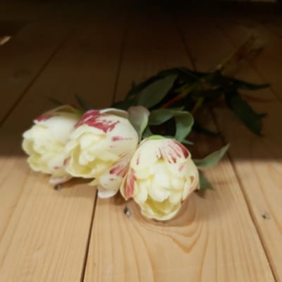 Kunstbloem Paeony Marlie Bundle Crème - 48 cm