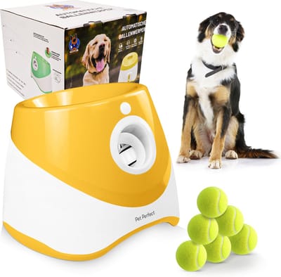 Pet Perfect Automatische Ballenwerper - Honden speelgoed - Ballenwerper voor Honden - Oplaadbaar - Incl. 6 ballen - Oranje