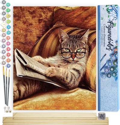 Figured'Art Schilderen op Nummer Volwassenen canvas Knoei niet met deze kat - Handwerk acrylverf Kit DIY Compleet - 40x50cm met DIY houten lijst