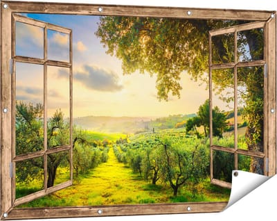 Gards Tuinposter Doorkijk Olijvenbomen - Olijvengaard - 120x80 cm - Tuindoek - Tuindecoratie - Wanddecoratie buiten - Tuinschilderij