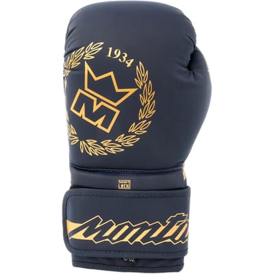 Trainingshandschoenen voor boksen Montana Energy Poseidon