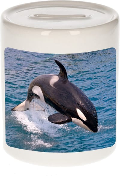 Dieren grote orka foto spaarpot 9 cm jongens en meisjes - Cadeau spaarpotten grote orka orka walvissen liefhebber