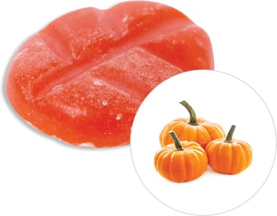 Scentchips® Pompoen geurchips - XL - 38 geurchips