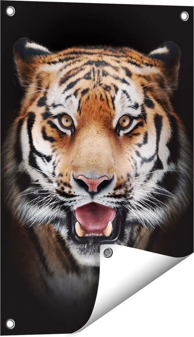 Gards Tuinposter Tijgerkop - Tijger - 40x60 cm - Tuindoek - Tuindecoratie - Wanddecoratie buiten - Tuinschilderij