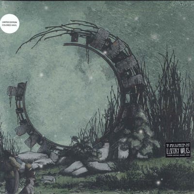 Disque LP WORLD IS A BEAUTIFUL PLACE & I AM N - Illusory Walls 877331 Epitaph 2021 Europe Rock