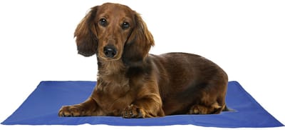 Cocapet - koelmat -coolmat - verkoelende benchmat - blauw - 50 x 40 cm - S - verkoeling voor uw hond en of uw kat- in de bench of los