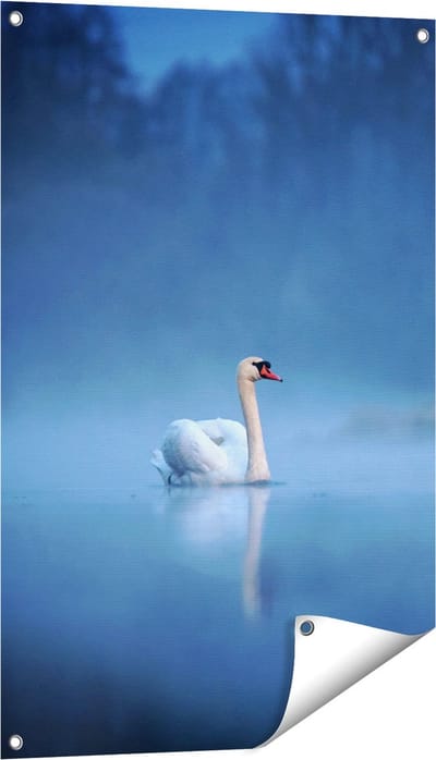Gards Tuinposter Zwaan op het Water tussen de Mist - 60x90 cm - Tuindoek - Tuindecoratie - Wanddecoratie buiten - Tuinschilderij