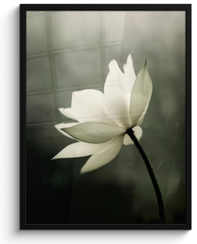 Poster in lijst - Fotolijst 60x80 cm - Posters - Wit - Lotus - Donker - Bloem - Posterlijst zwart - Decoratie - Wanddecoratie woonkamer - Muurdecoratie slaapkamer