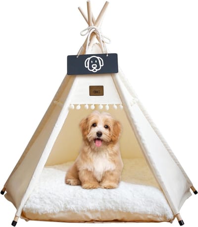 TIM® Kattentent - Huisdier tent - Dierenhuis - Kattenhol – Kattenhuis - Kattenmand - Dierentent - Katten Tipi Tent – Voor Binnen – Beige - 40cm x 40cm x 50cm