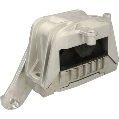 Motorsteun REINHOCH RH11-0164