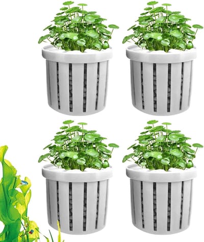Aquarium plantenhouder - Poreuze pot - Planten decoratie - Stabiele wortelgroei - 4x3.4x3.5cm - Wit