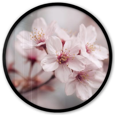 Poster in lijst Rond - Fotolijst 40x40 cm - Posters - Bloesems - Meeldraden - Geel - Wazig - Ronde posterlijst zwart - Decoratie - Wanddecoratie woonkamer - Muurdecoratie slaapkamer