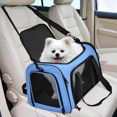 Kattentransportdrager - Reistas huisdieren - Veilig reizen - Ademend mesh materiaal - 40x25x25 cm - Blauw