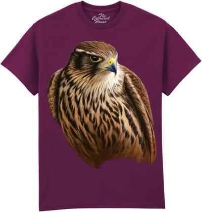 Valk Merlin Falcon - Smelleken The Coloured House T-shirt XL