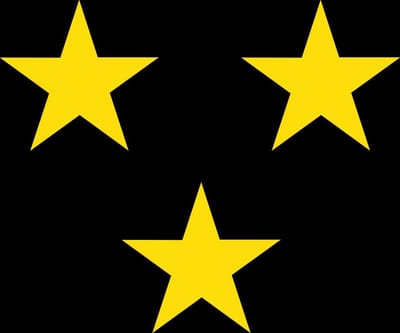 Vlag Musson 100x150cm