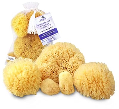 Natuurlijke Zeesponzen - Bad Spons Set - Huid Reiniging - Hypoallergeen & Zacht - 5 Stuks - Beige