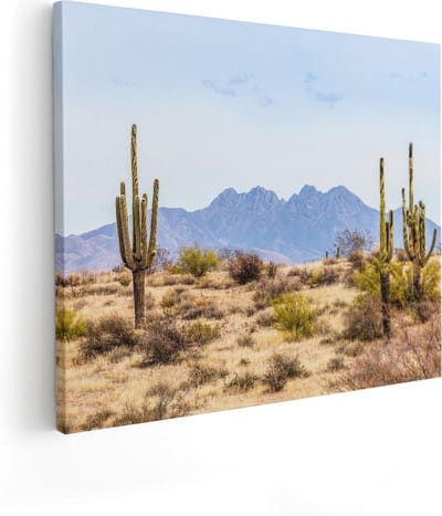 Artaza Canvas Schilderij Cactus - 50x40 cm - Wanddecoratie Woestijn - Muurdecoratie Amerika - Schilderijen Op Canvas Bergen
