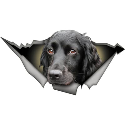 Persoonlijkheidsstickers voor auto's, 3D-stickers voor honden en huisdieren, waterdichte, opvallende stickers voor huisdieren met een gebroken raam. gray