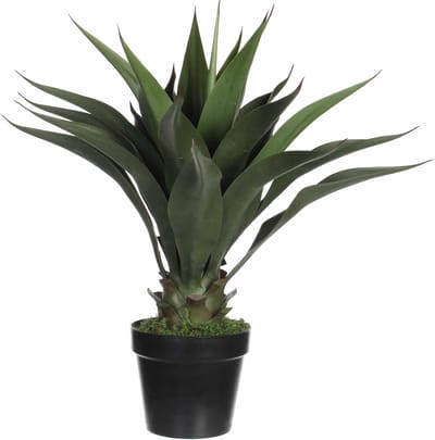 Groene Agave kunstplant 60 cm in zwarte plastic pot - Kunstplanten/nepplanten