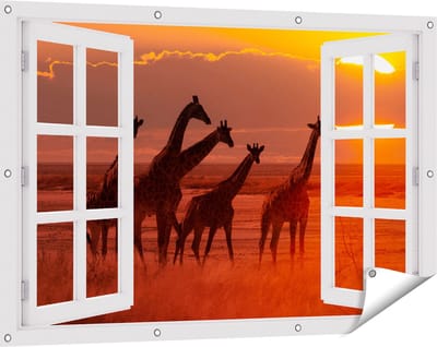 Gards Tuinposter Doorkijk Giraffe Kudde bij Zonsondergang - 120x80 cm - Tuindoek - Tuindecoratie - Wanddecoratie buiten - Tuinschilderij