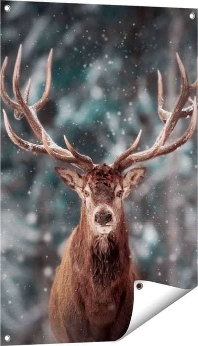 Gards Tuinposter Hertenkop - Hert in de Sneeuw - 60x90 cm - Tuindoek - Tuindecoratie - Wanddecoratie buiten - Tuinschilderij