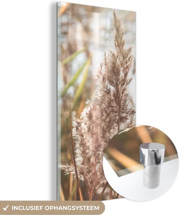 MuchoWow® Glasschilderij 20x40 cm - Schilderij acrylglas - Riet - Zon - Plant - Foto op glas - Schilderijen