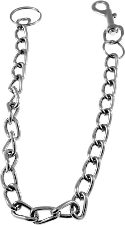 Zac's Alter Ego - 65 cm Sleutel-/broekketting - Zilverkleurig