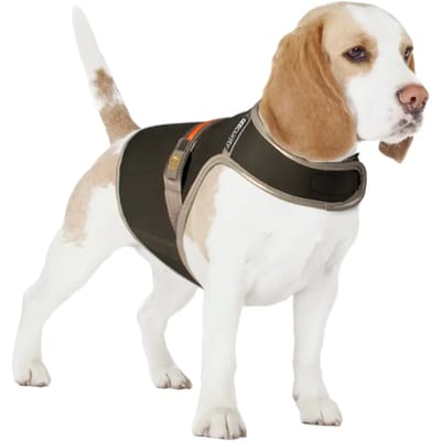 Reflecterende en lichtgevende veiligheidsvest voor honden met usb Duvoplus