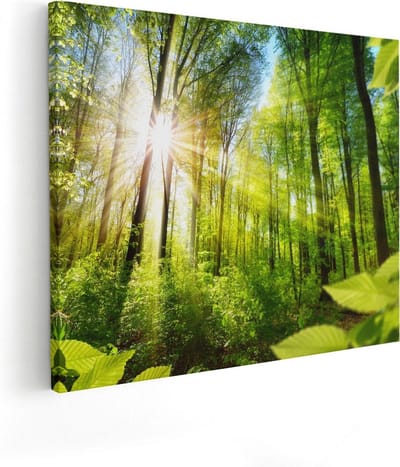 Artaza Canvas Schilderij Zon In Bos - 50x40 cm - Wanddecoratie Bomen - Muurdecoratie Landschap - Kamer Accessoires