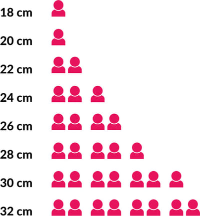 Rosle Koekenpan Silence Pro - ø 28 cm - Zonder anti-aanbaklaag