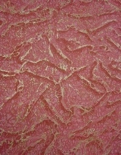 ROOD GOUD BREED BEHANG DIKKE RELIEF ZEER GESCHIKT VOOR CAFEE KROEGEN 3840-9