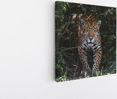 Saammp Canvas Schilderij - Luipaard tussen de struiken - Natuur - Dieren - 20x20 - Foto op canvas - Wanddecoratie - Muurdecoratie Woonkamer - Slaapkamer decoratie - Canvas Print