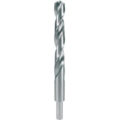 RUKO 2004120 DIN 338 Typ N HSS-G Spiraalboor 12 mm Gezamenlijke lengte 151 mm Hooggelegeerd DIN 338 Cilinderschacht 1 stuk(s)