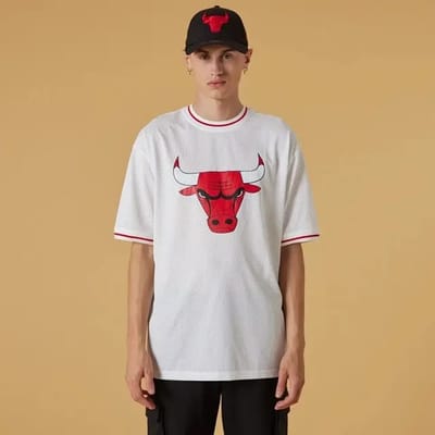 T-shirt met korte mouwen Chicago Bulls Mesh Logo