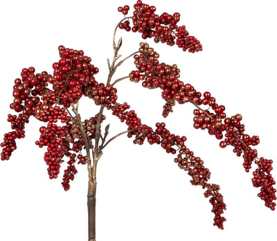 PTMD Berry Plant burgundy berry hanging bush