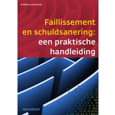Faillissement En Schuldsanering - Controlling & Auditing In De Praktijk - Robert Jan Blom
