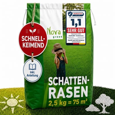 Dailygoods- Graszaad Snelkiemend - Herstelgazon - Schaduwgras - Droogbestendig - Robuust - Ideaal voor gazonreparatie, 2,5 kg (70 m²) - Gazonzaad