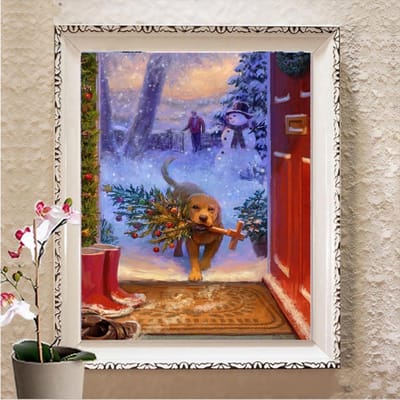 Diamant schilderij kat Cross Stitch Kit 5D DIY diamant borduurwerk Strass foto Home Decor cadeau Full Square 20X30CM