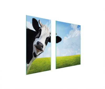 TMK ArtDeko - Snijplank - Veilig - Meerdere Functies