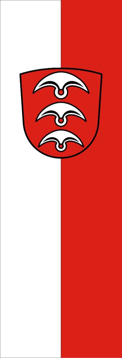 Vlag Fellbach 100x150cm