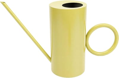 Gieter Roestvrij Staal - Water Gieter - Kamerplanten Verzorgen - Lange Uitloop - 33.5 x 19.5 cm - Geel
