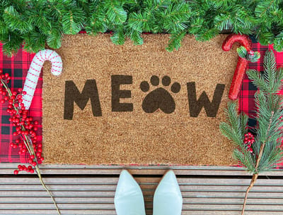 Meow | 60x40 cm | Nieuwe huis cadeau | Ingangsmat | Deurmat met stijl | Verhuizing cadeau | Praktisch & trendy | Perfect voor binnenkomst | Cadeau voor nieuwe woning