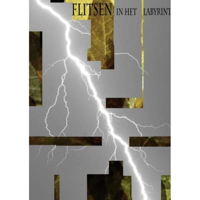 Flitsen In Het Labyrint - Cédric van Wessel