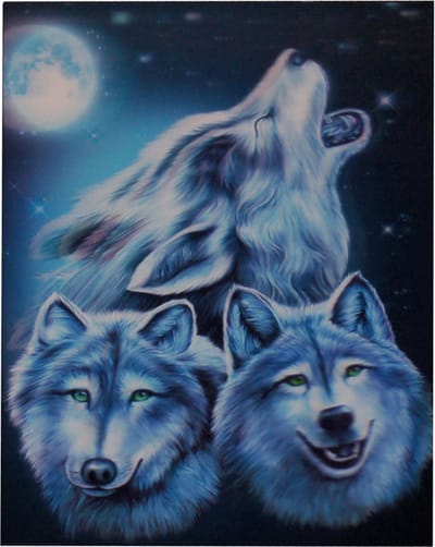 Poster 3D - Wolven Sterrennacht & Maan - Plakstrip - 24,5x34,5cm