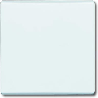 ABB Busch-Jaeger Schakelelement/Centrale Plaat voor Alle weersomstandigheden IP44 - 2CKA001731A1775 - E2AD8