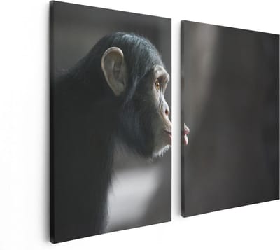 Artaza Canvas Schilderij Tweeluik Verbaasde Aap Vanaf De Zijkant - 80x60 - Foto Op Canvas - Canvas Print