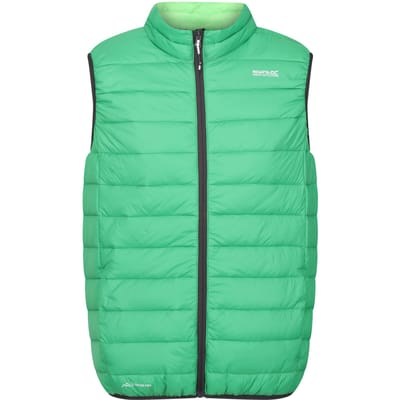 Regatta Heren Marizion Gewatteerd Gilet (Veldgroen/Jasmijngroen)